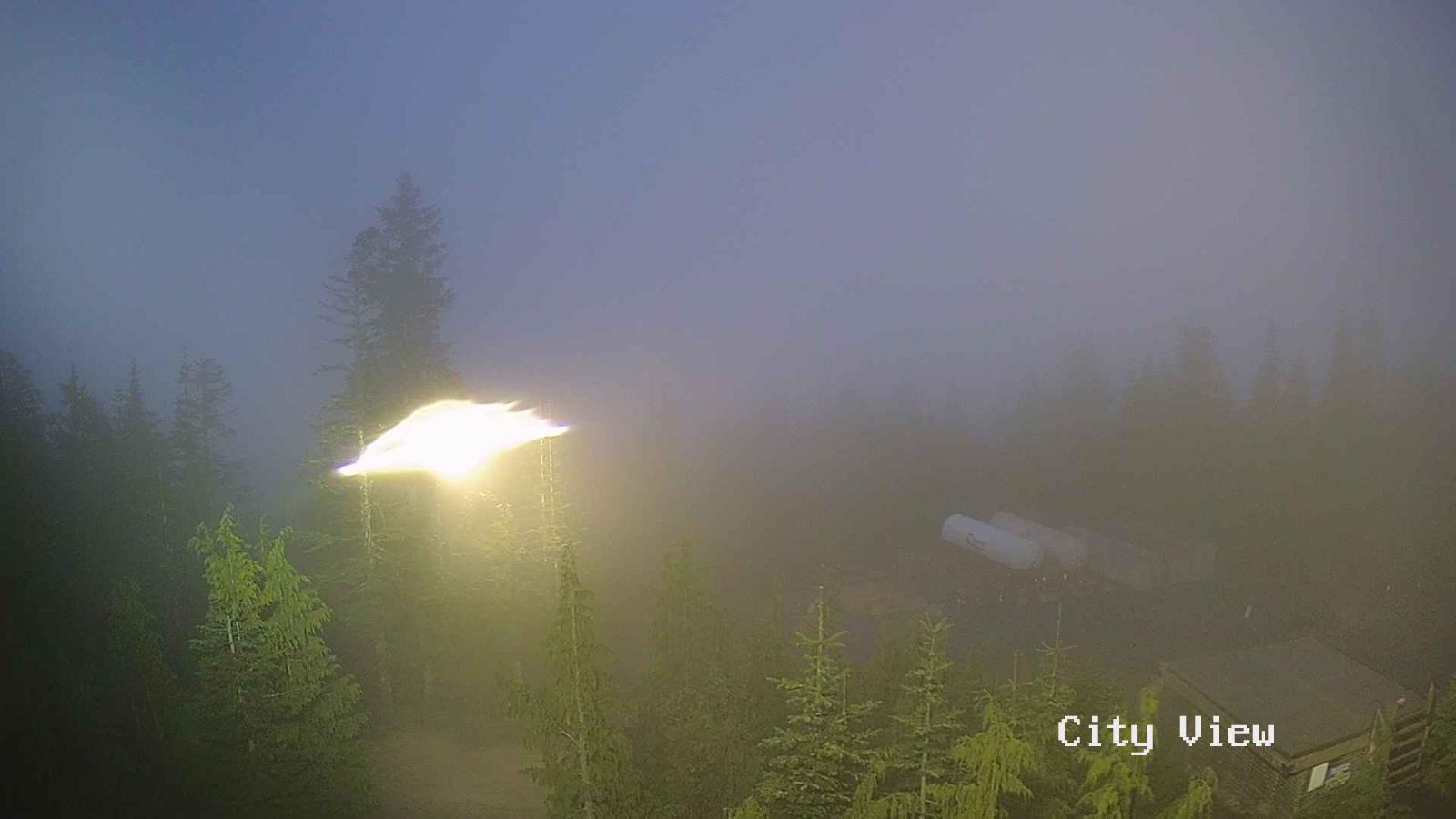 Webcam Grouse Mountain: City View Cam