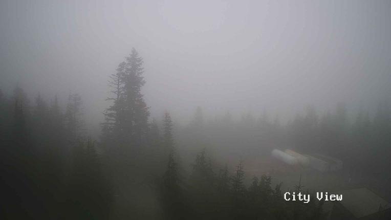 Webcam Grouse Mountain: City View Cam