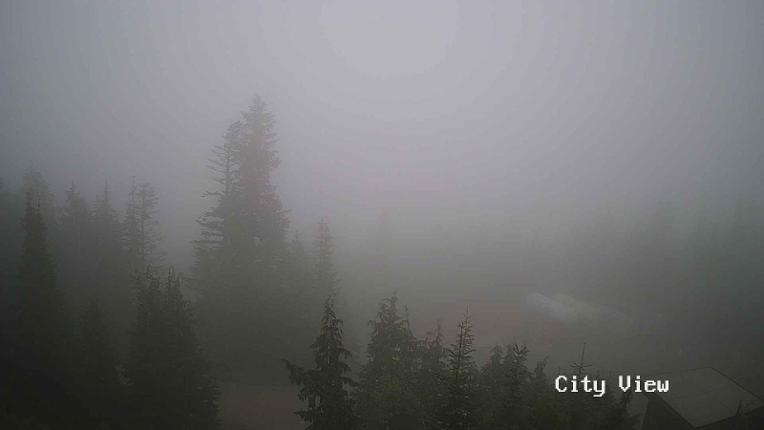 Webcam Grouse Mountain: City View Cam