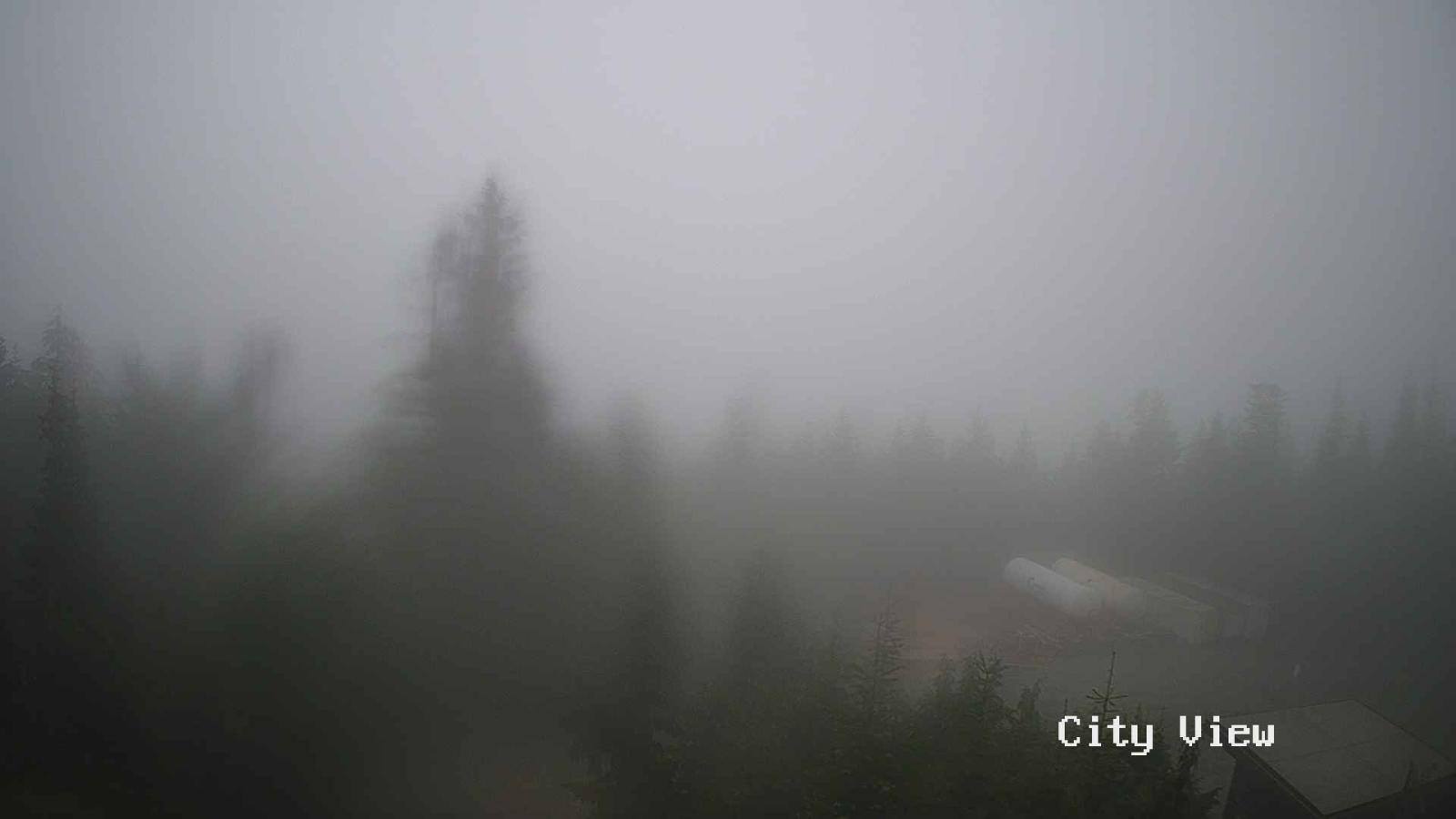 Webcam Grouse Mountain: City View Cam