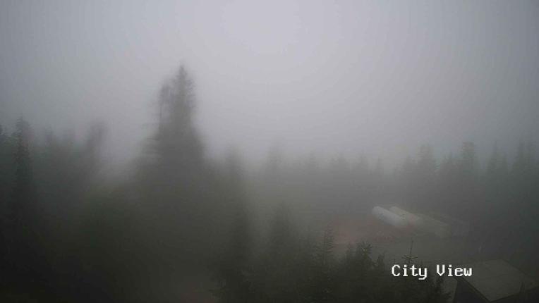 Webcam Grouse Mountain: City View Cam