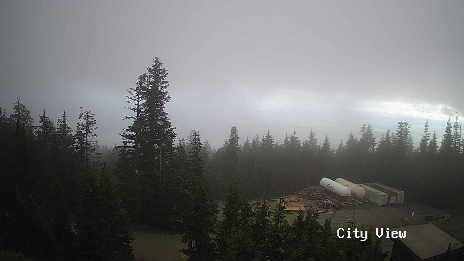 Webcam Grouse Mountain: City View Cam