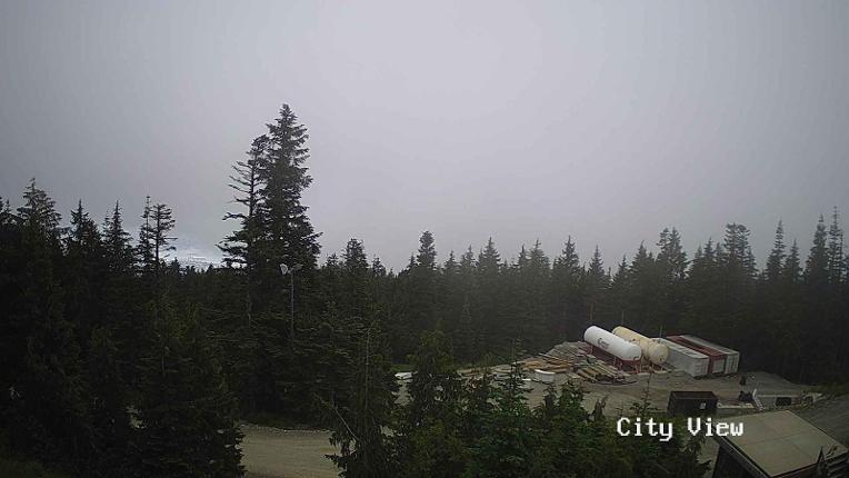 Webcam Grouse Mountain: City View Cam
