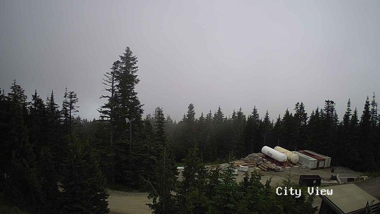 Webcam Grouse Mountain: City View Cam