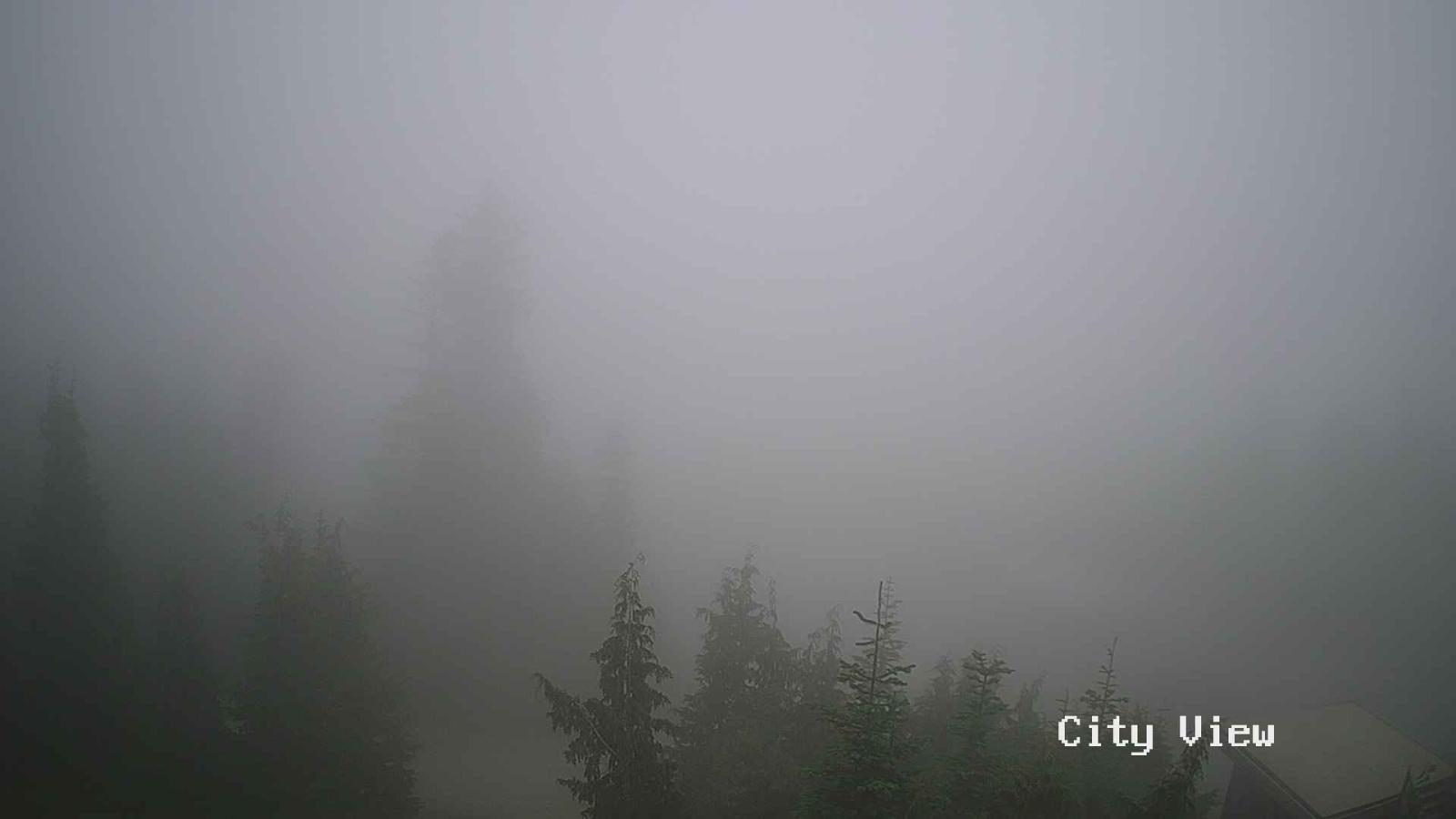 Webcam Grouse Mountain: City View Cam