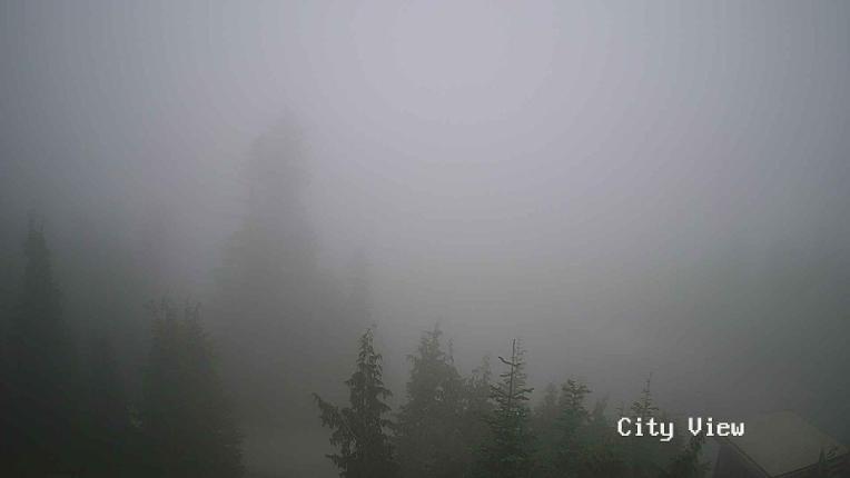 Webcam Grouse Mountain: City View Cam