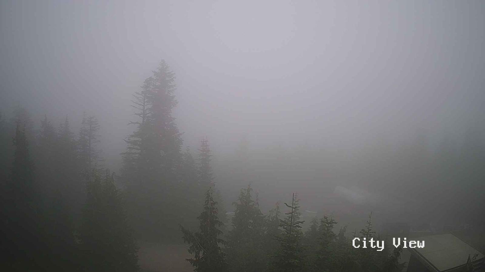 Webcam Grouse Mountain: City View Cam