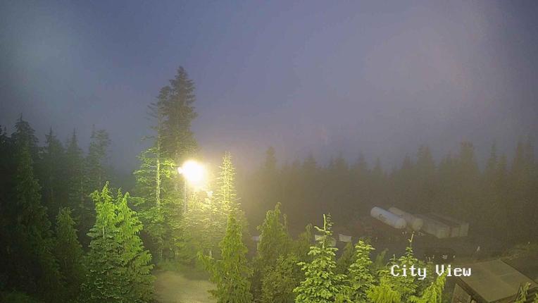 Webcam Grouse Mountain: City View Cam
