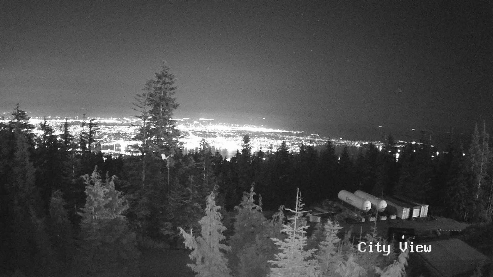 Webcam Grouse Mountain: City View Cam