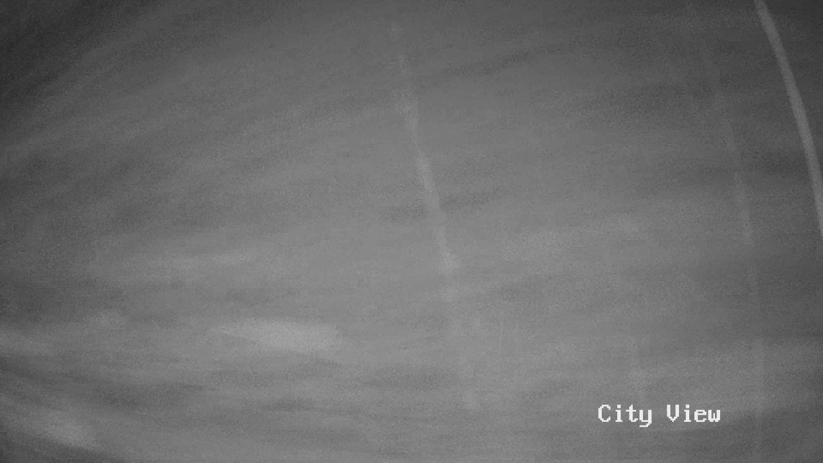Webcam Grouse Mountain: City View Cam