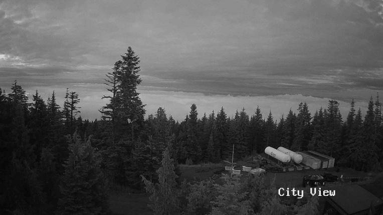 Webcam Grouse Mountain: City View Cam