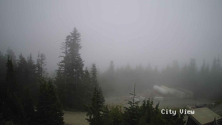 Webcam Grouse Mountain: City View Cam