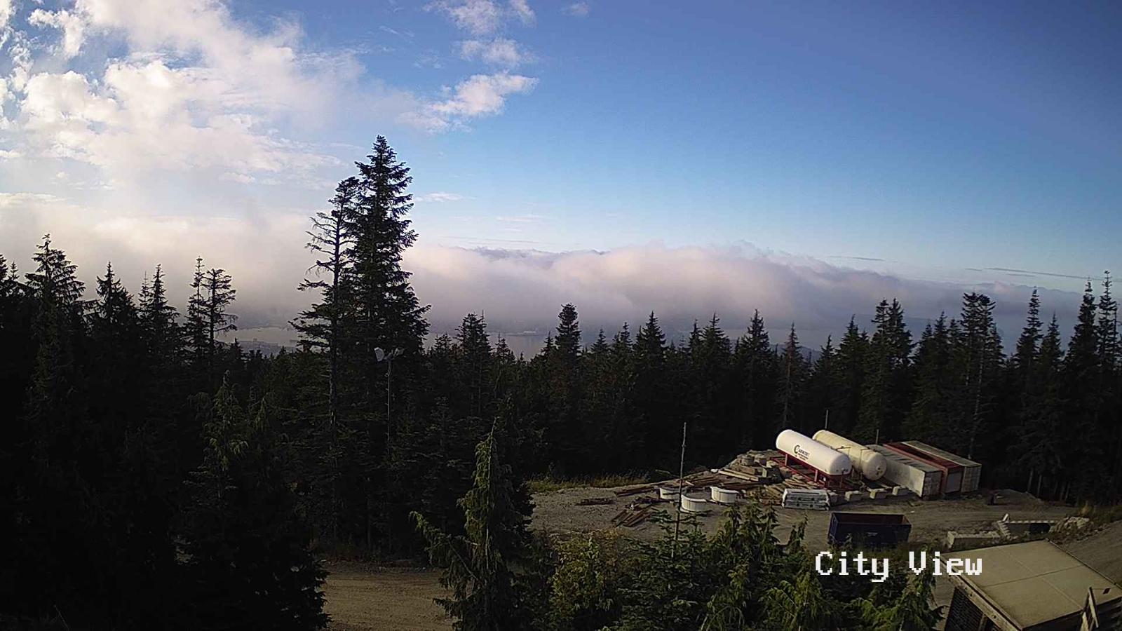 Webcam Grouse Mountain: City View Cam