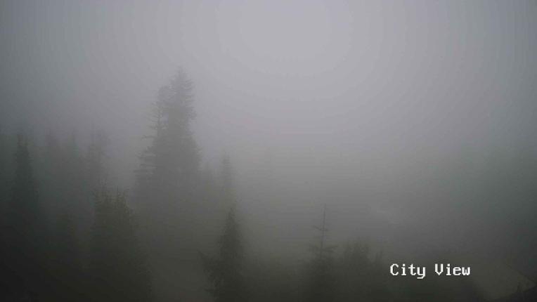 Webcam Grouse Mountain: City View Cam