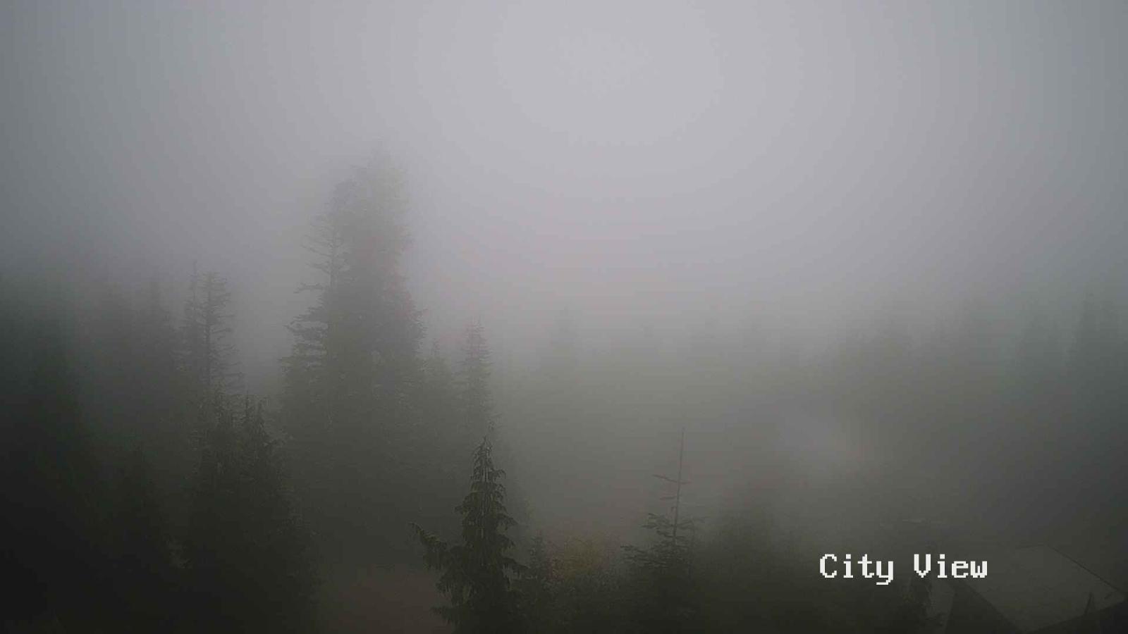 Webcam Grouse Mountain: City View Cam