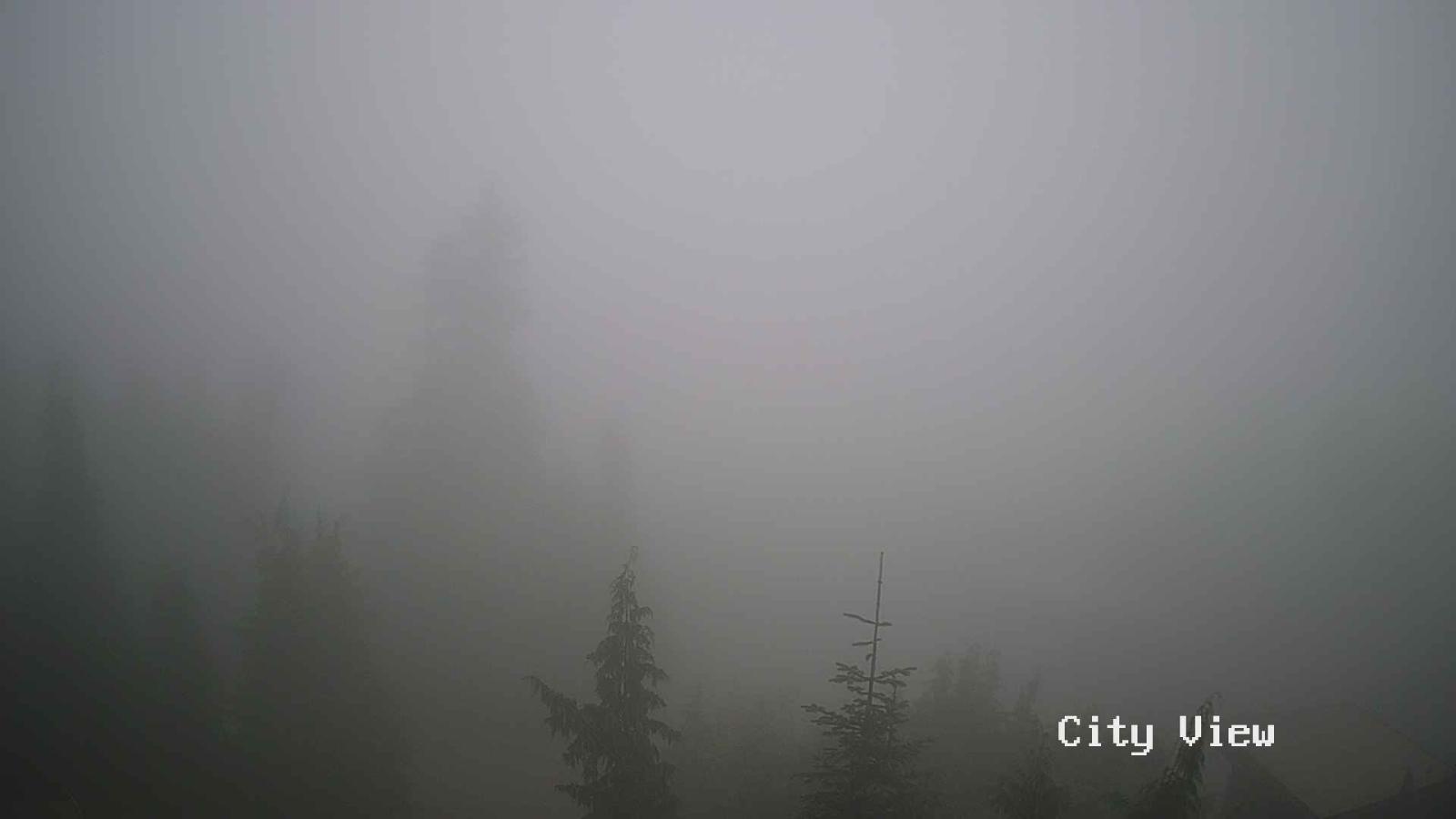Webcam Grouse Mountain: City View Cam