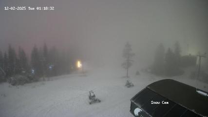 Grouse Mountain: Snow Cam (grousemountain.com)