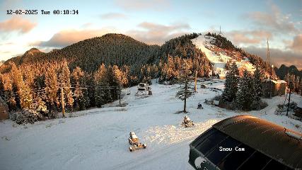 Grouse Mountain: Snow Cam (grousemountain.com)