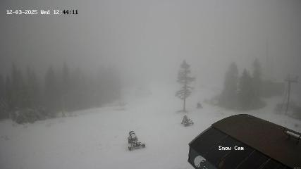 Grouse Mountain: Snow Cam (grousemountain.com)