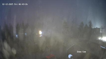 Grouse Mountain: Snow Cam (grousemountain.com)