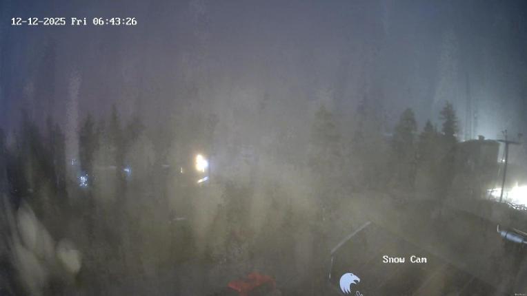 Webcam Grouse Mountain: Snow Cam