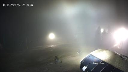 Grouse Mountain: Snow Cam (grousemountain.com)