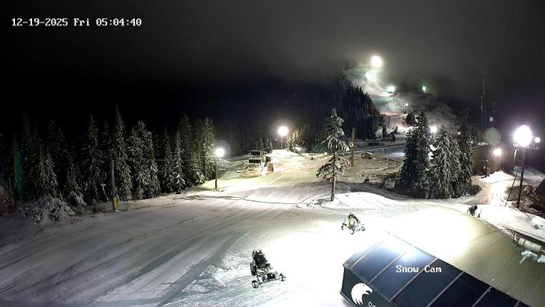 Webcam Grouse Mountain: Snow Cam