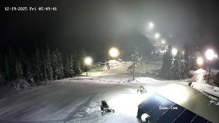 Grouse Mountain: Snow Cam (grousemountain.com)