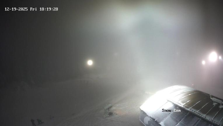 Webcam Grouse Mountain: Snow Cam