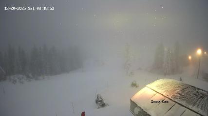 Grouse Mountain: Snow Cam (grousemountain.com)