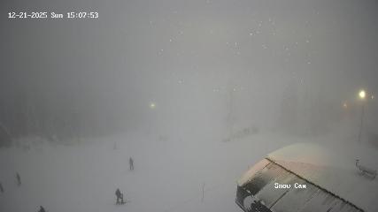 Grouse Mountain: Snow Cam (grousemountain.com)