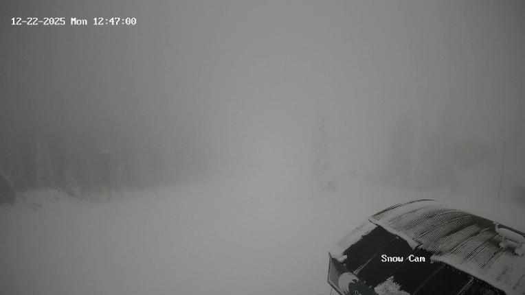 Webcam Grouse Mountain: Snow Cam
