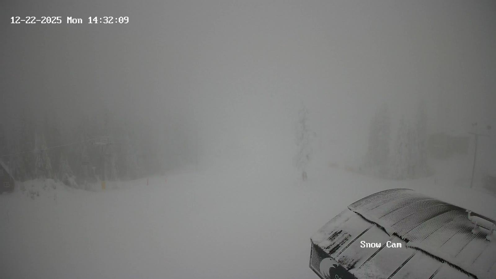 Webcam Grouse Mountain: Snow Cam