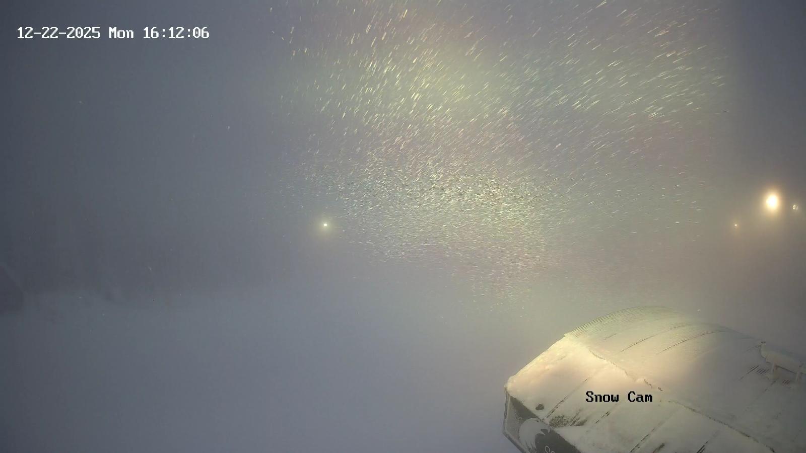 Webcam Grouse Mountain: Snow Cam