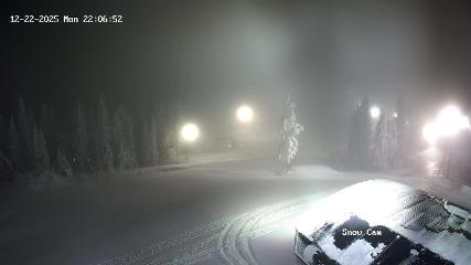 Grouse Mountain: Snow Cam (grousemountain.com)