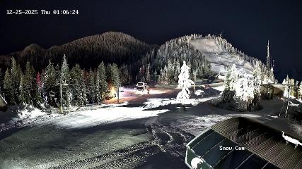 Grouse Mountain: Snow Cam (grousemountain.com)