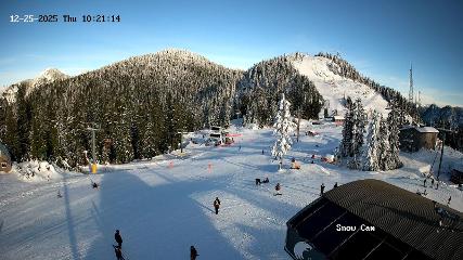 Grouse Mountain: Snow Cam (grousemountain.com)
