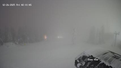 Grouse Mountain: Snow Cam (grousemountain.com)