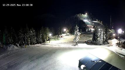 Grouse Mountain: Snow Cam (grousemountain.com)