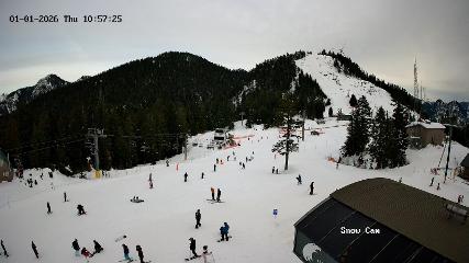 Grouse Mountain: Snow Cam (grousemountain.com)