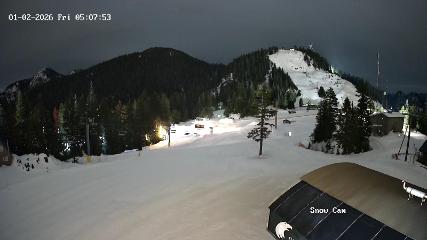 Grouse Mountain: Snow Cam (grousemountain.com)