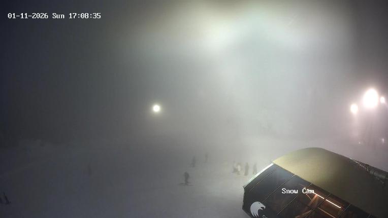 Webcam Grouse Mountain: Snow Cam