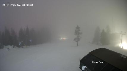 Grouse Mountain: Snow Cam (grousemountain.com)