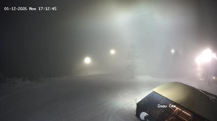 Grouse Mountain: Snow Cam (grousemountain.com)