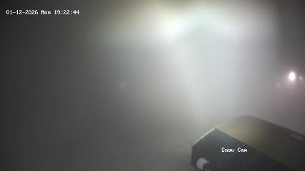 Grouse Mountain: Snow Cam (grousemountain.com)