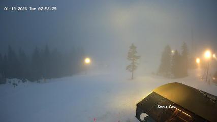 Grouse Mountain: Snow Cam (grousemountain.com)