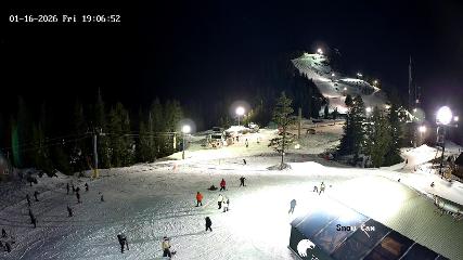 Grouse Mountain: Snow Cam (grousemountain.com)