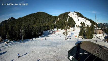 Grouse Mountain: Snow Cam (grousemountain.com)
