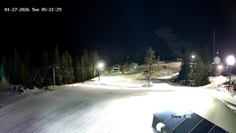 Webcam Grouse Mountain: Snow Cam