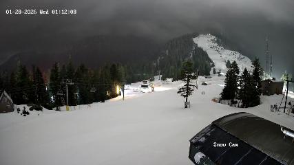 Grouse Mountain: Snow Cam (grousemountain.com)
